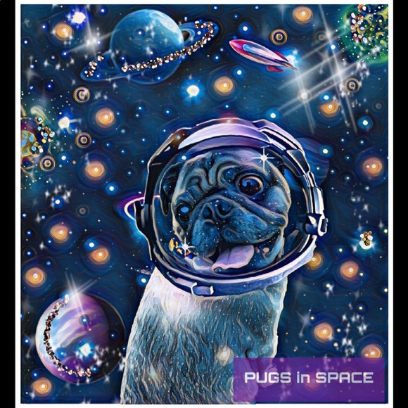 Meet your Posher, Lori - Picture 2 of 8